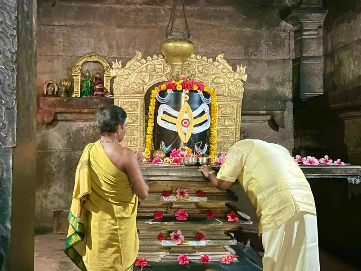 Gallery filter1 Image 13