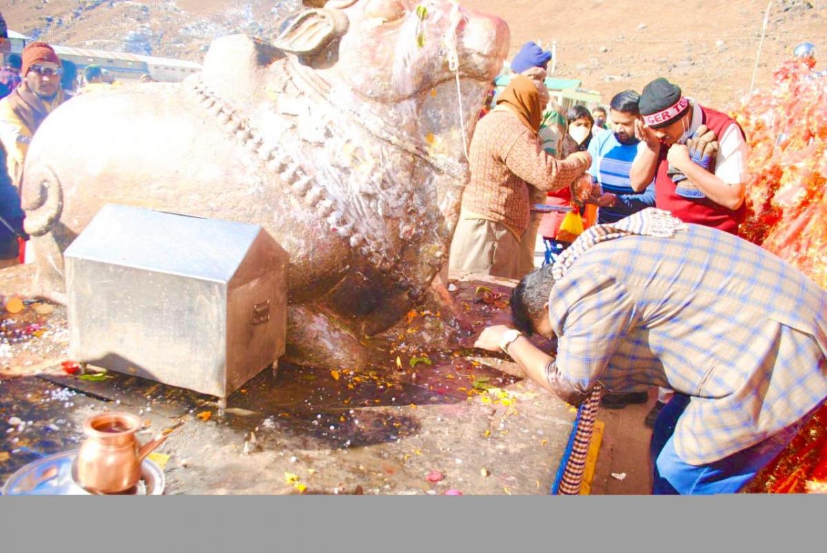 Gallery filter1 Image 30