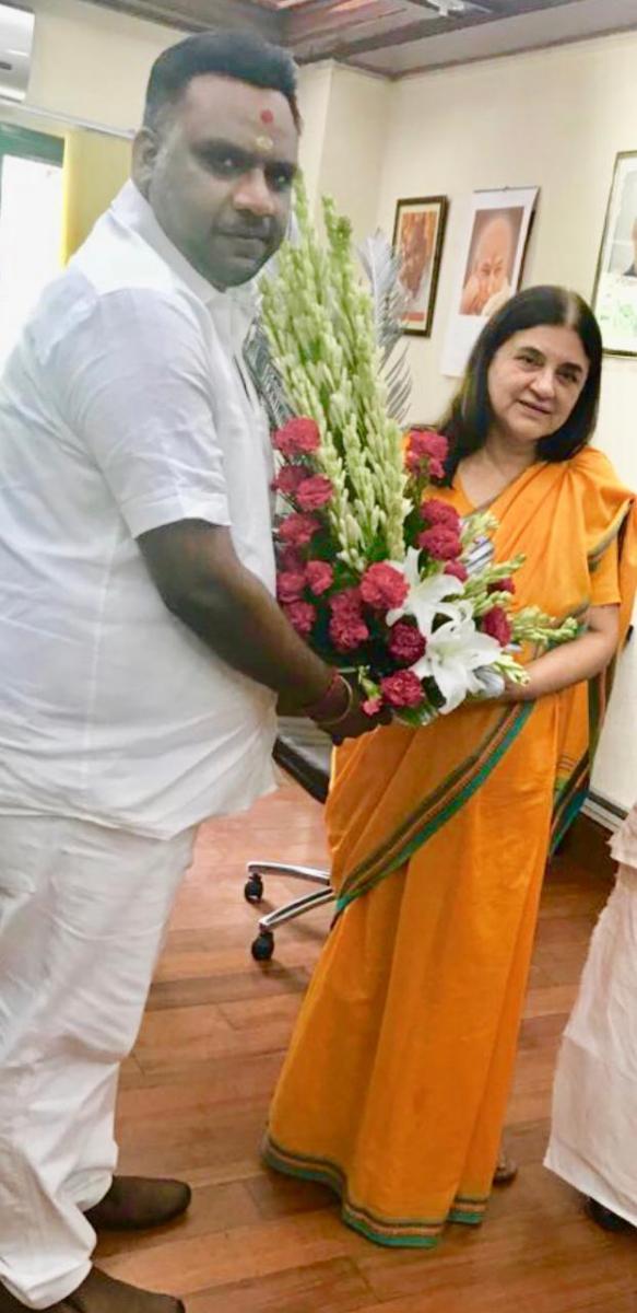 Gallery filter3 Image 24